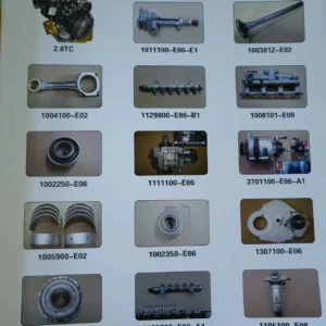 engine diesel assembly and parts for Great Wall Series